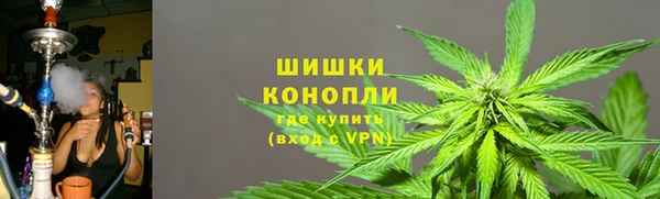 Альфа ПВП Белокуриха