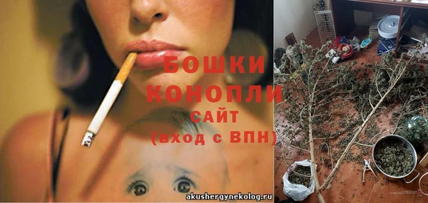 PSILOCYBIN Белоозёрский